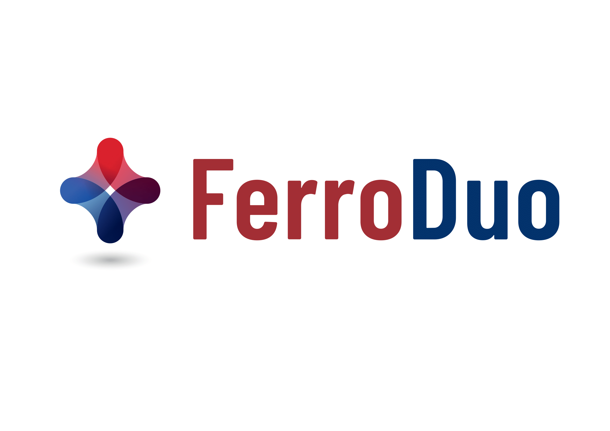 Logo Ferro Duo Italia